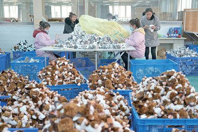 陕西工业迈向纵深 玩具产业的转型与机遇